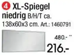 Zurbrüggen XL-Spiegel niedrig Angebot