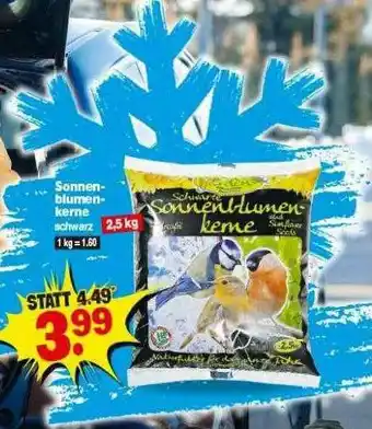 Repo Markt Sonnen- Blumen- Kerne Angebot