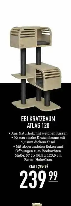 Kölle Zoo Ebi Kratzbaum Atlas 120 Angebot