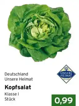 CAP Markt Kopfsalat Angebot