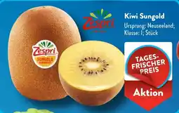 Aldi Süd Zespri Kiwi Sungold Angebot