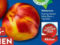 Aldi Süd Nektarinen Angebot