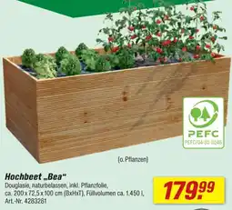 toom Baumarkt Hochbeet „Bea“ Angebot