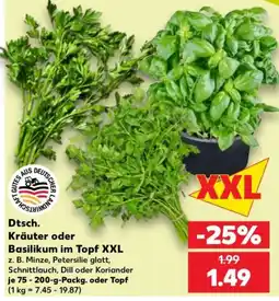 Kaufland Dtsch. Kräuter oder Basilikum im Topf XXL Angebot