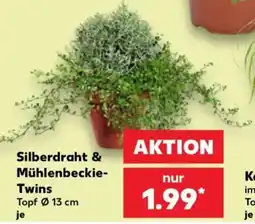 Kaufland Silberdraht & Mühlenbeckie-Twins Angebot