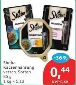 Budni Sheba Katzenfutter Angebot