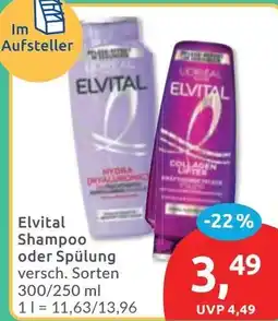 Budni Elvital Shampoo oder Spülung Angebot