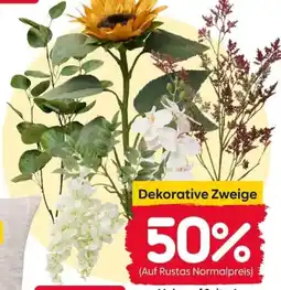 Rusta Dekorative Zweige Angebot