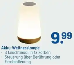 Rossmann Akku-Wellnesslampe Angebot