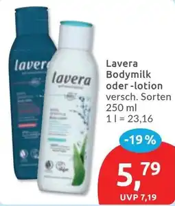 Budni Lavera Bodymilk oder -lotion Angebot