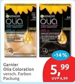 Budni Garnier Olia Coloration Angebot