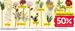 Rusta Dekorative Zweige aus Kunststoff Angebot