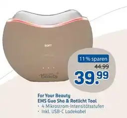 Rossmann For Your Beauty EMS Gua Sha & Rotlicht Tool Angebot