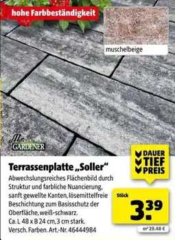 Hagebau Terrassenplatte „Soller“ Mr. GARDENER Angebot