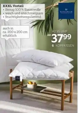 XXXLutz billerbeck KOPFKISSEN Angebot