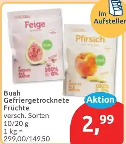 Budni Buah Gefriergetrocknete Früchte Angebot