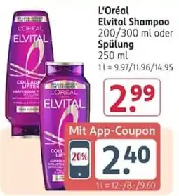 Rossmann L'Oréal Elvital Shampoo Angebot