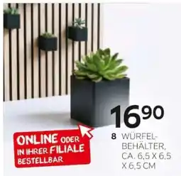 XXXLutz WÜRFEL-BEHÄLTER Angebot