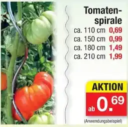 Zimmermann Tomaten-spirale Angebot