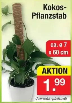 Zimmermann Kokos-Pflanzstab Angebot