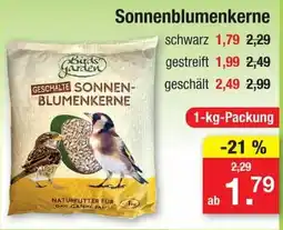 Zimmermann Birds Garden Sonnenblumenkerne Angebot