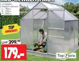 Wreesmann Gewächshaus Top Flora Angebot