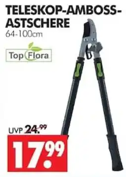 Wreesmann TELESKOP-AMBOSST-ASTSCHERE Angebot