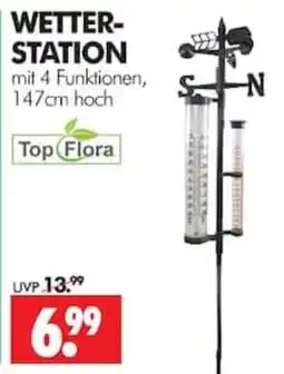 Wreesmann Wetterstation mit 4 Funktionen, 147cm hoch Angebot