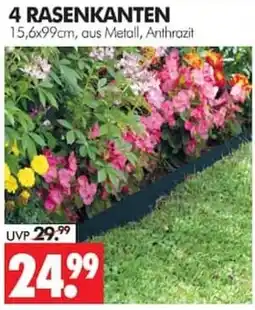 Wreesmann 4 RASENKANTEN Angebot
