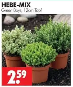 Wreesmann HEBE-MIX Green Boys Angebot
