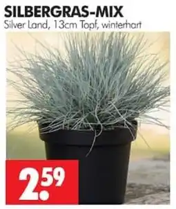 Wreesmann SILBERGRAS-MIX Angebot