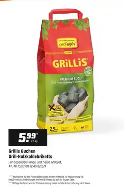 OBI Grillis Buchen Grill-Holzkohlebriketts Angebot