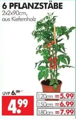Wreesmann 6 PFLANZSTÄBE aus Kiefernholz Angebot