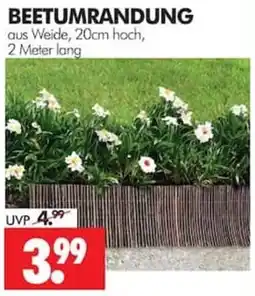 Wreesmann BEETUMRANDUNG aus Weide Angebot