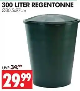Wreesmann 300 LITER REGENTONNE Angebot