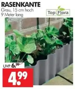 Wreesmann RASENKANTE Top Flora Angebot