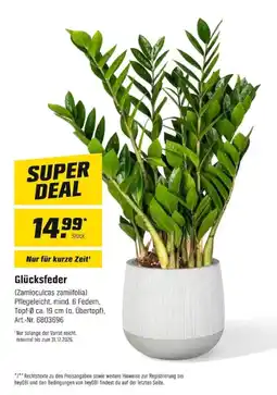 OBI Glücksfeder Angebot