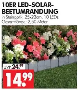 Wreesmann 10ER LED-SOLAR-BEETUMRANDUNG Angebot