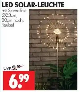 Wreesmann LED SOLAR-LEUCHTE Angebot