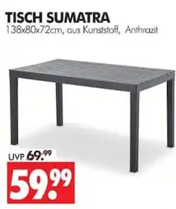 Wreesmann TISCH SUMATRA Angebot