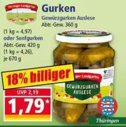 Norma Gurken Gewürzgurken Auslese Angebot