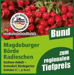 Norma Magdeburger Börde Radieschen Angebot