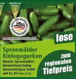 Norma Spreewälder Einlegegurken Angebot