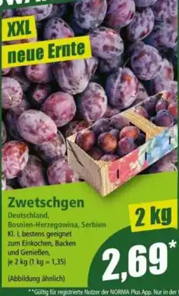 Norma Zwetschgen Angebot