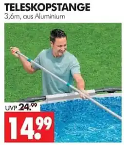 Wreesmann TELESKOPSTANGE Angebot