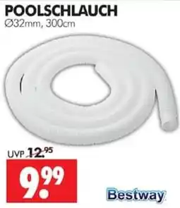 Wreesmann POOLSCHLAUCH Bestway Angebot