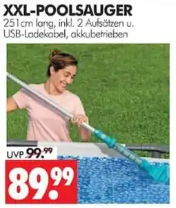 Wreesmann XXL-POOLSauger Angebot