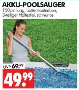 Wreesmann AKKU-POOLSauger Angebot