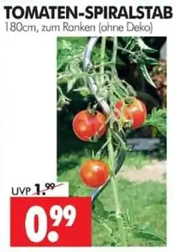 Wreesmann TOMATEN-SPIRALSTAB Angebot