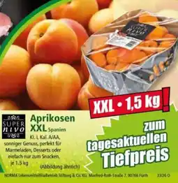 Norma Aprikosen XXL Angebot